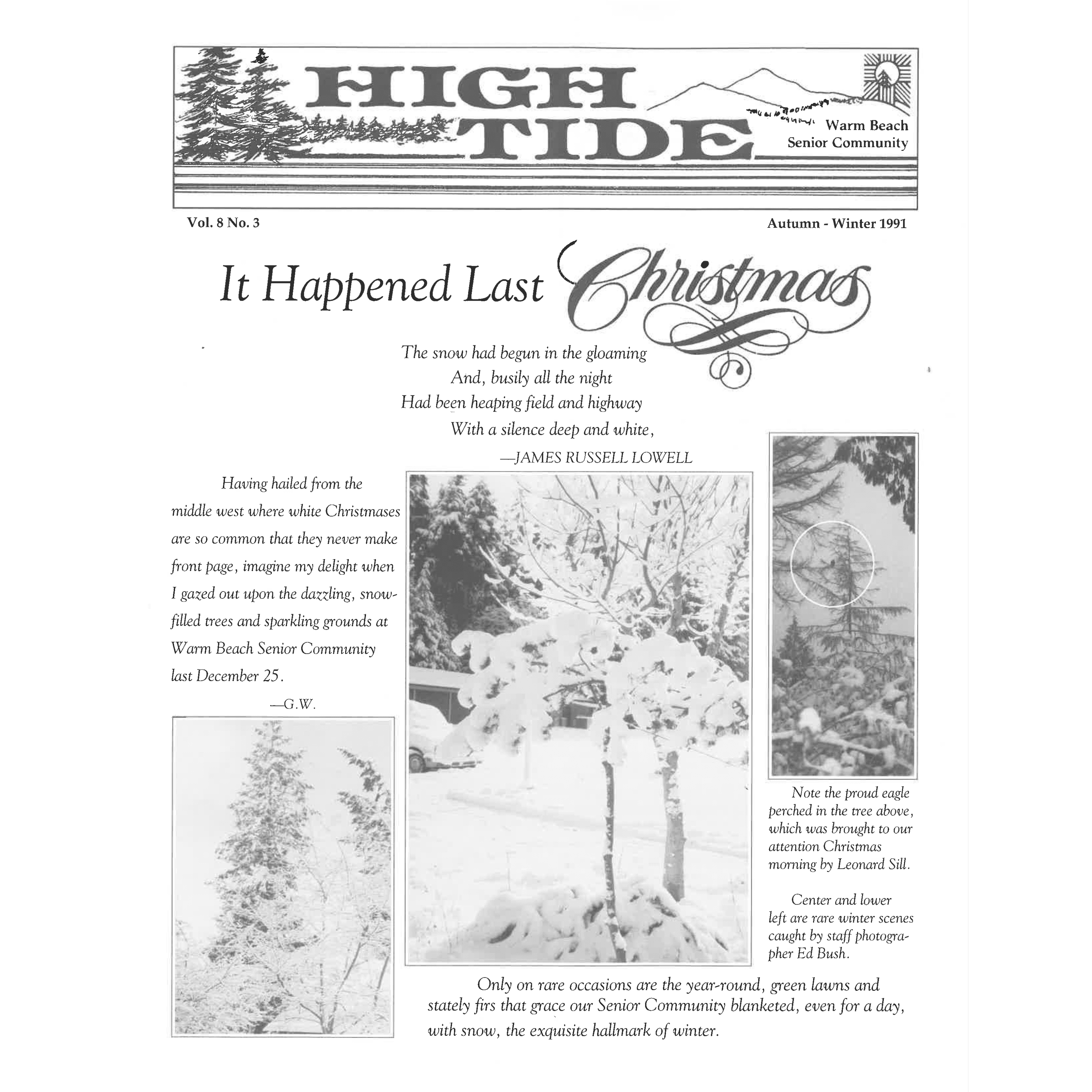 Christmas Celebrations