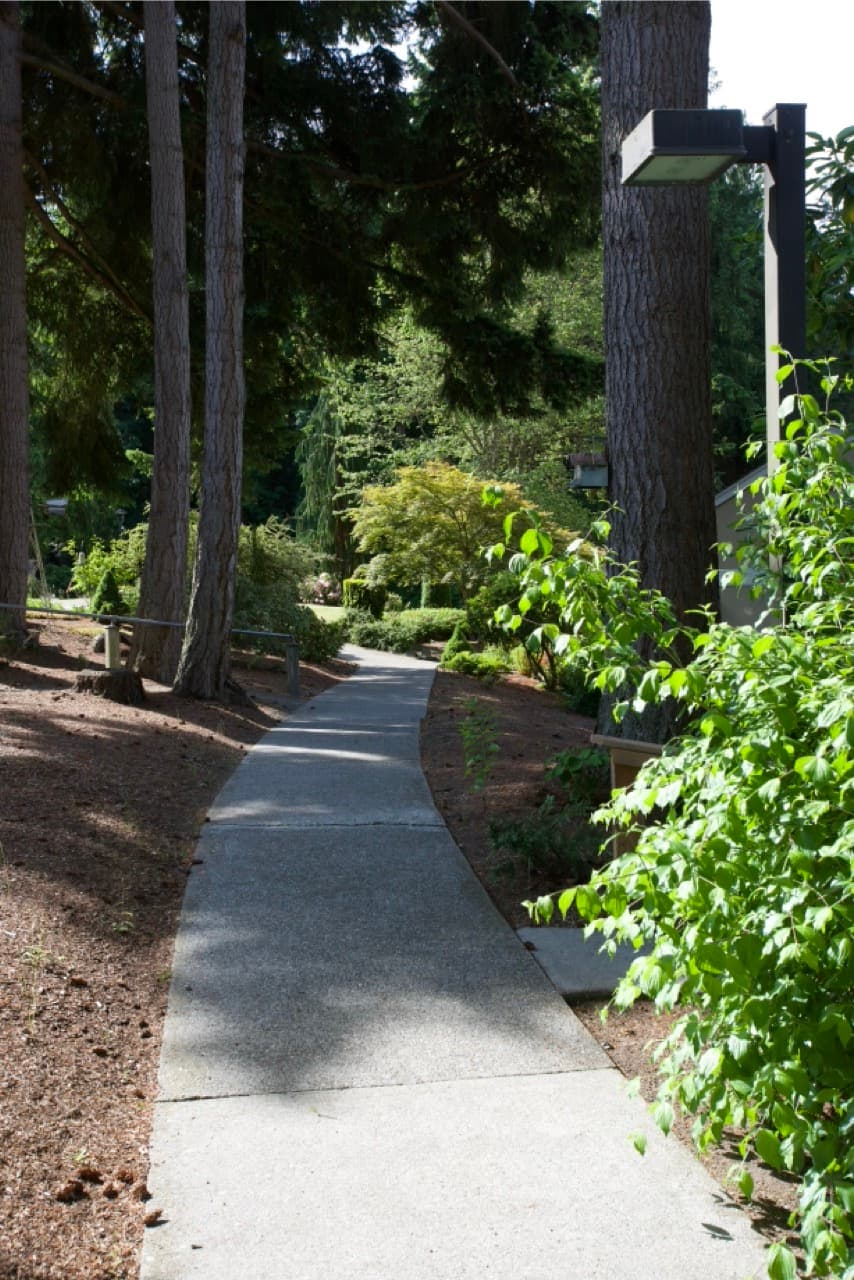 Scenic walking trails through nature