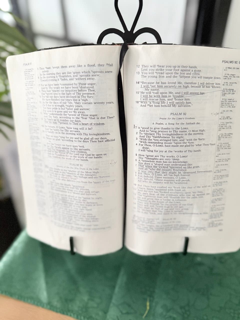 Lifelong learning and study