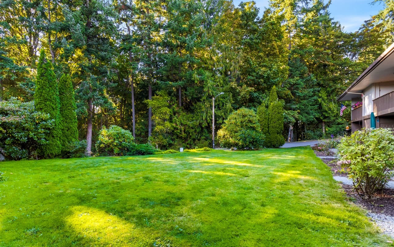 Beachwood Apartments - Scenic Outdoor View