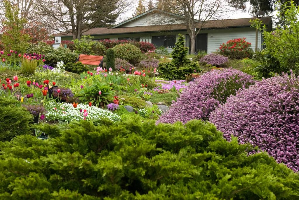 Village Apartments lifestyle